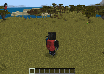 Backpacks FWS Add-on